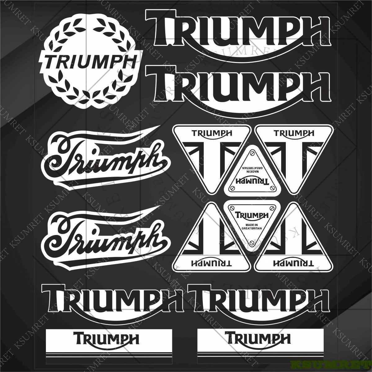 Vinyl Motorcycle Emblem Sticker Set – Reflective Decals for Tank & Helmet