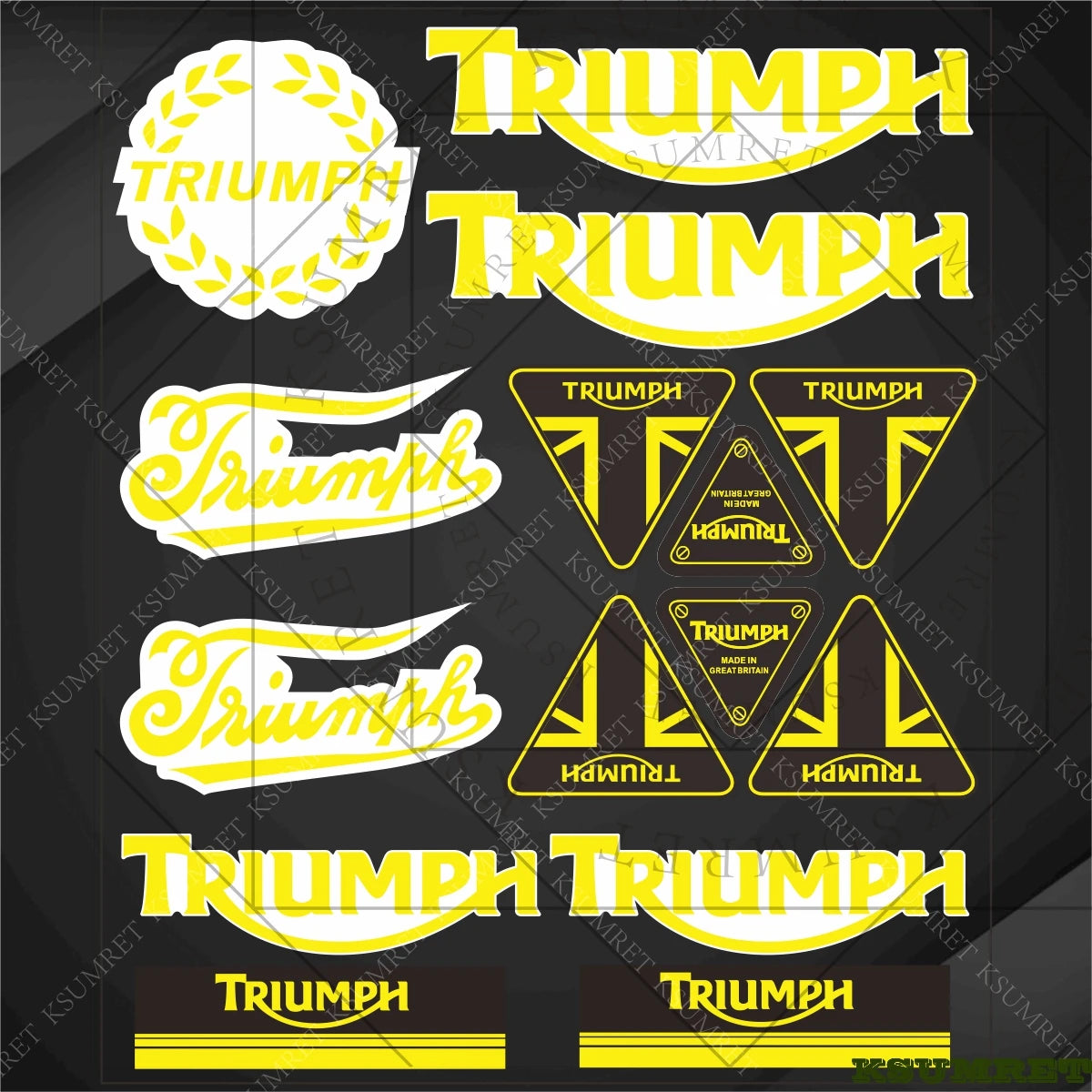 Vinyl Motorcycle Emblem Sticker Set – Reflective Decals for Tank & Helmet